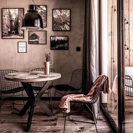 Villa Miedzy Brzozami