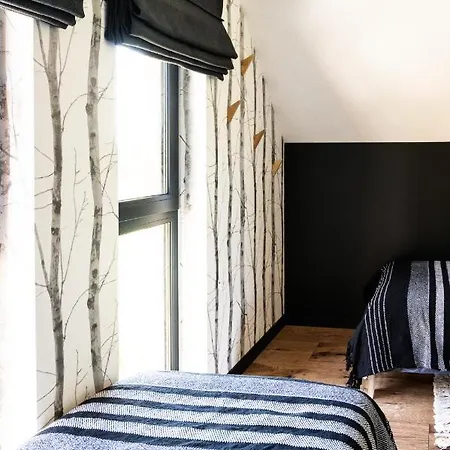 Villa Miedzy Brzozami Szczytna