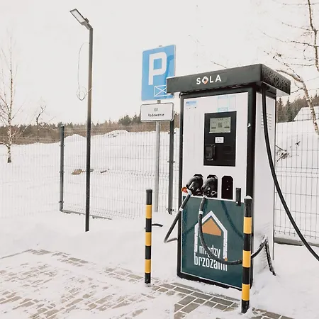 Miedzy Brzozami Villa