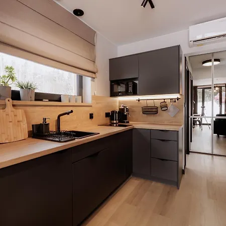 Villa Miedzy Brzozami