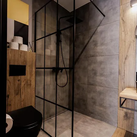 Villa Miedzy Brzozami