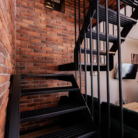 Villa Miedzy Brzozami *