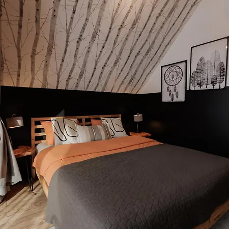 Villa Miedzy Brzozami *