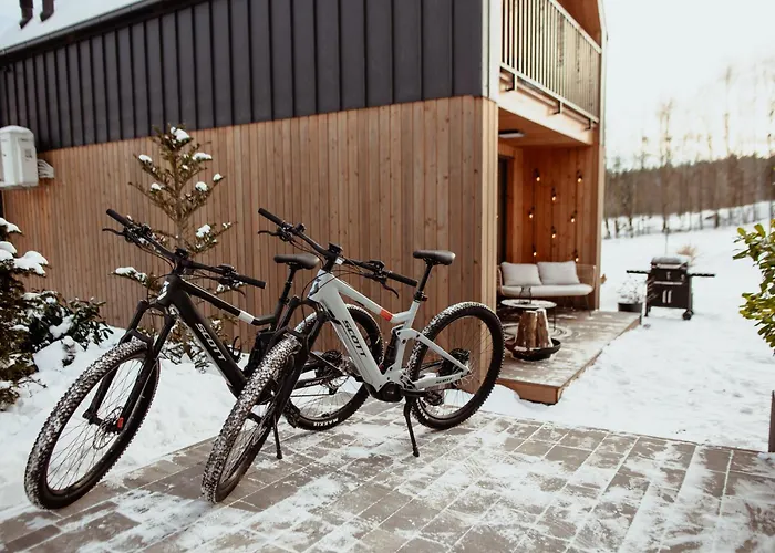 Miedzy Brzozami 别墅