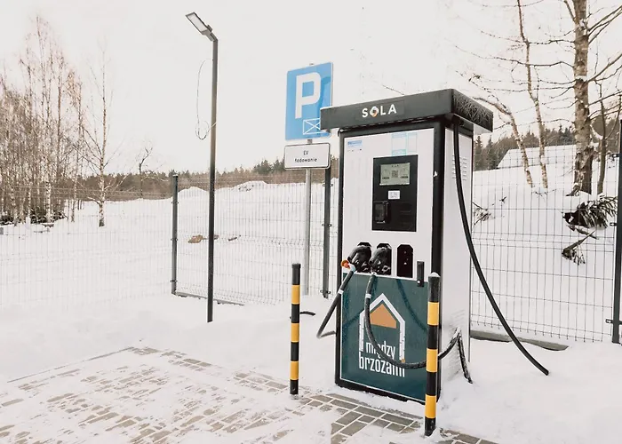 Miedzy Brzozami Vila