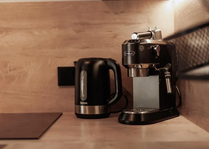 Miedzy Brzozami Vila