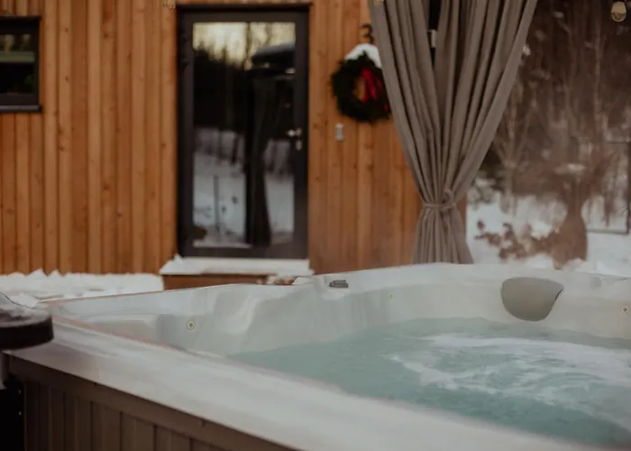 Miedzy Brzozami Vila