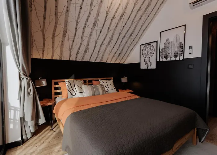 Vila Miedzy Brzozami *