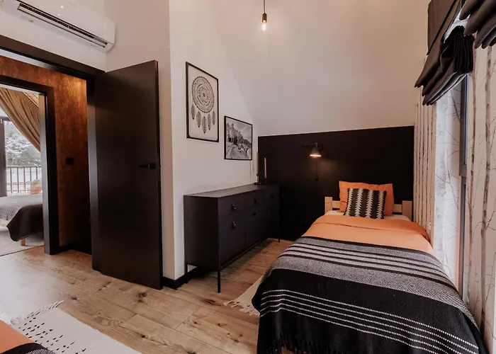 Miedzy Brzozami 别墅 *